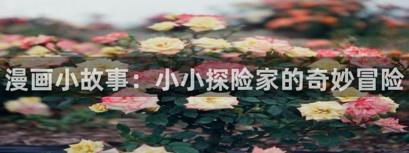 舞冰的祈愿包子漫画