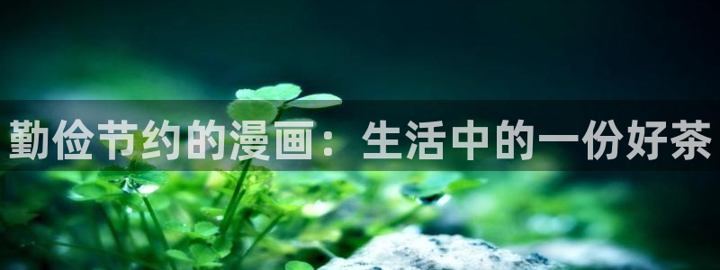 包子漫画app免费下载安装