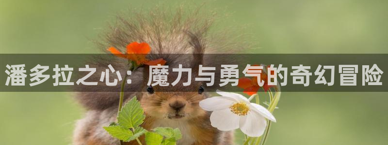 包子漫画网页版是什么