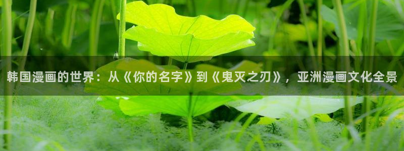 包子漫画办公人