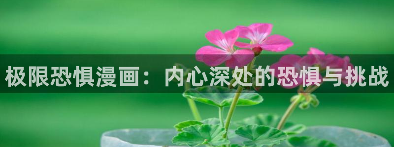 包子漫画画