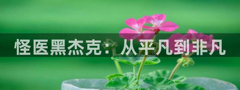 包子漫画复仇