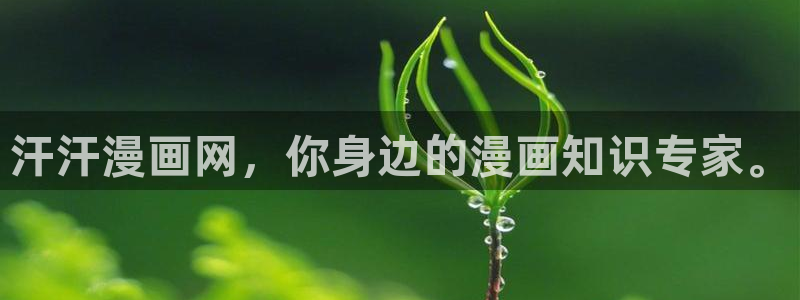 鲲吞天下包子漫画
