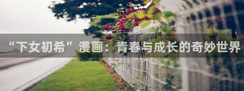 小蘑菇漫画(包子漫画)